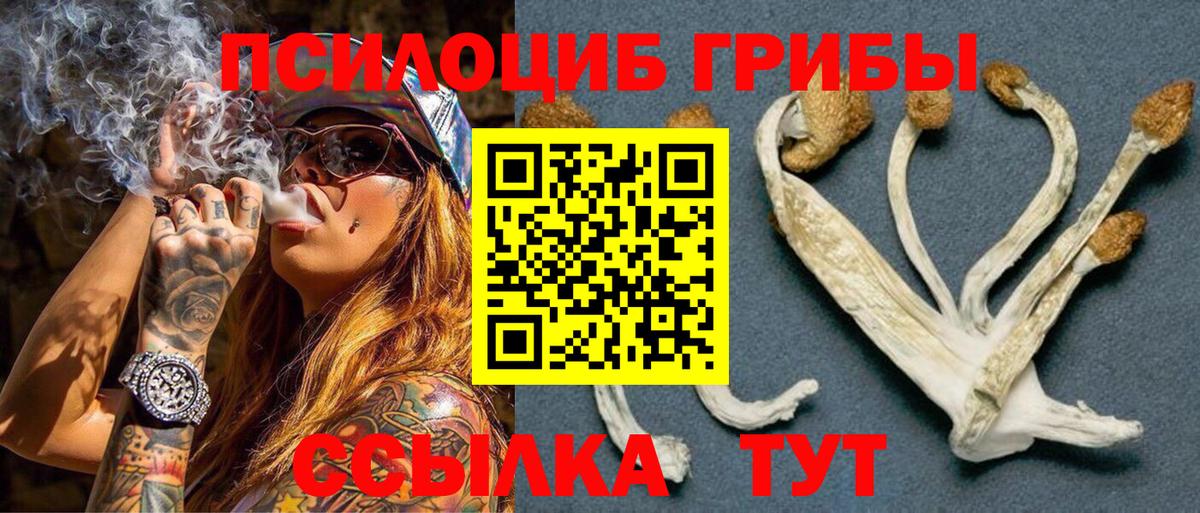 Псилоцибиновые грибы GOLDEN TEACHER Мирный