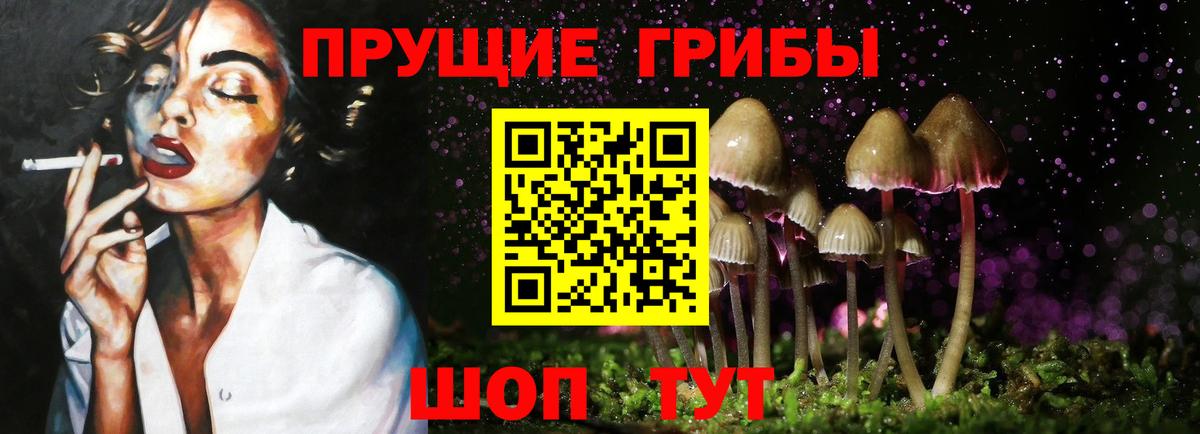 Псилоцибиновые грибы прущие грибы  Вход с VPN  Мирный 